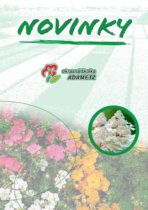 katalog Adametz 2020 (1)-1